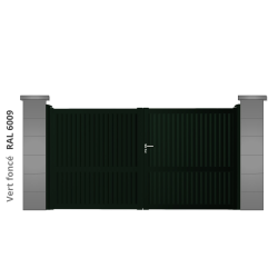 RAL 6009