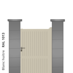RAL 1013