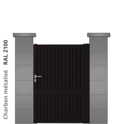 RAL 2100