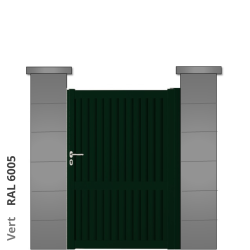 RAL 6005