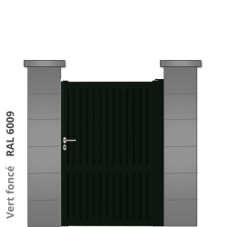 RAL 6009