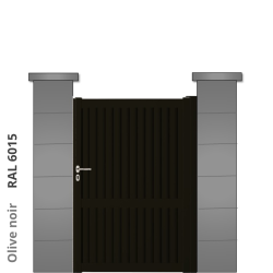 RAL 6015