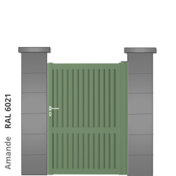 RAL 6021