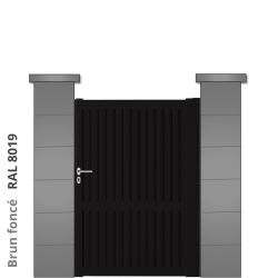 RAL 8019