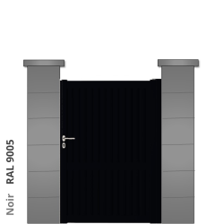 RAL 9005