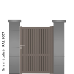 RAL 9007