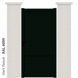 RAL 6009
