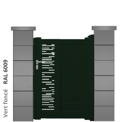 RAL 6009