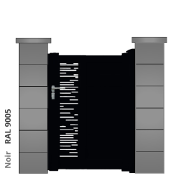 RAL 9005