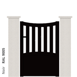 RAL 9005