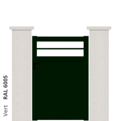 RAL 6005