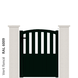 RAL 6009
