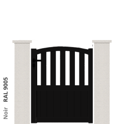 RAL 9005