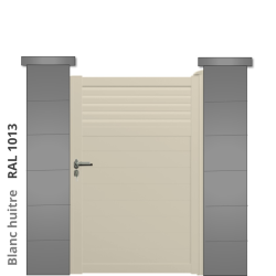 RAL 1013