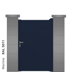 RAL 5011