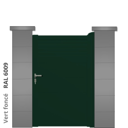 RAL 6009