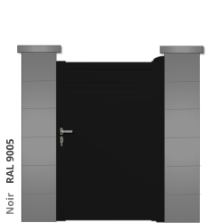 RAL 9005