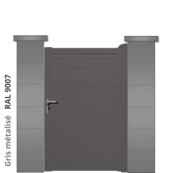 RAL 9007