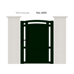 RAL 6005