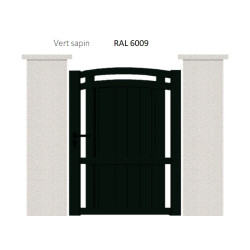 RAL 6009