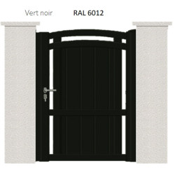 RAL 6012