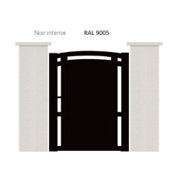 RAL 9005