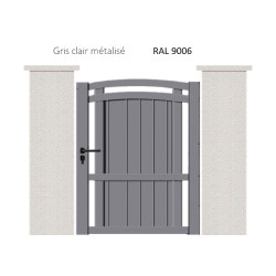 RAL 9006