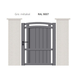 RAL 9007