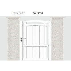 RAL 9010