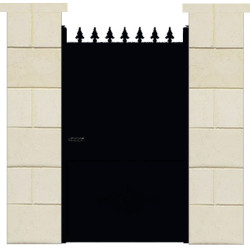RAL 9005