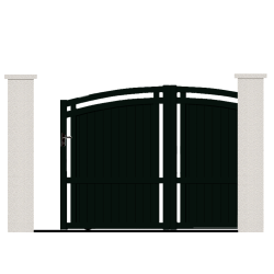 RAL 6009