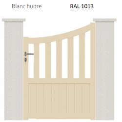 RAL 1013