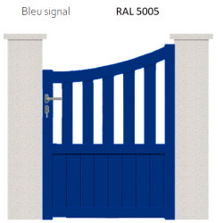 RAL 5005
