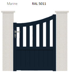 RAL 5011