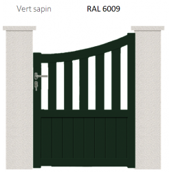RAL 6009