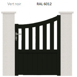 RAL 6012