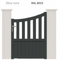 RAL 6015