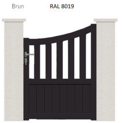 RAL 8019