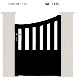 RAL 9005