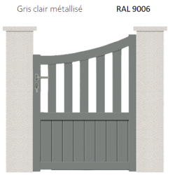 RAL 9006