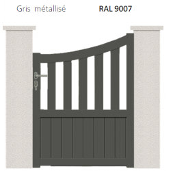 RAL 9007