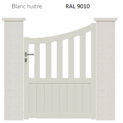 RAL 9010