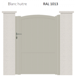 RAL 1013