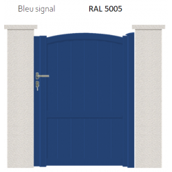 RAL 5005