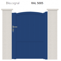 RAL 5005