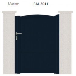 RAL 5011