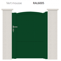RAL 6005
