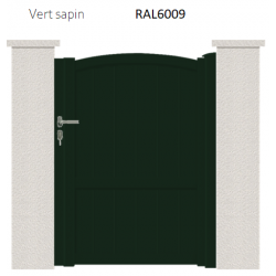 RAL 6009