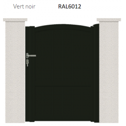 RAL 6012