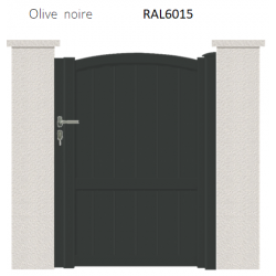 RAL 6015